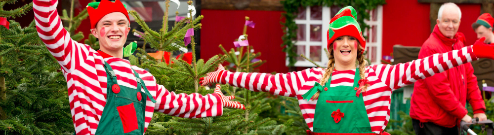 Two happy elves